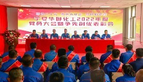 喜迎二十大，勇?lián)率姑瑠^進(jìn)新征程——公司召開2022年度黨員大會(huì)暨“爭先創(chuàng)優(yōu)”表彰會(huì)
